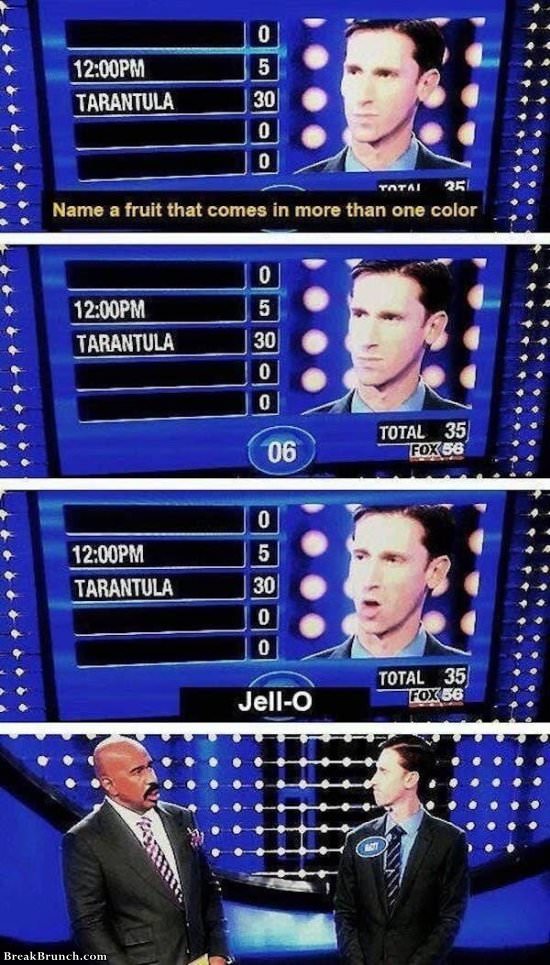 24 hilarious Family Feud answers you have to see BreakBrunch