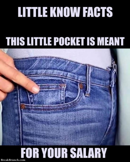 little-pocket-0for-salary-11719