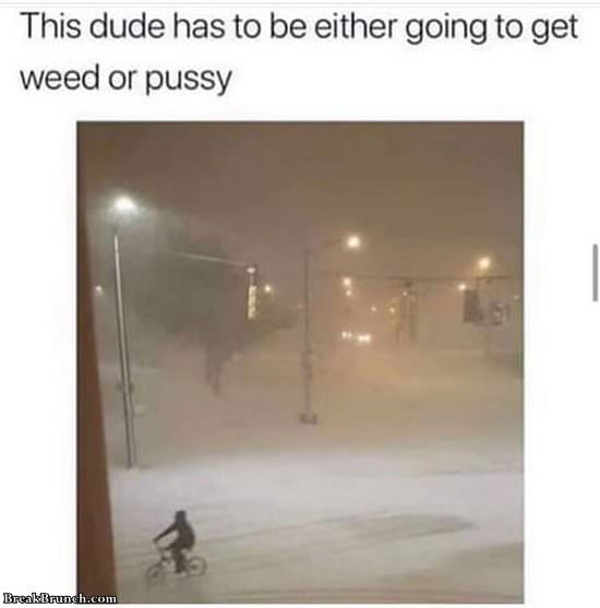 weed-or-pussy-112319