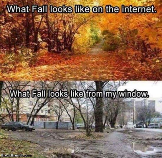 what-fall-really-looks-like-11719