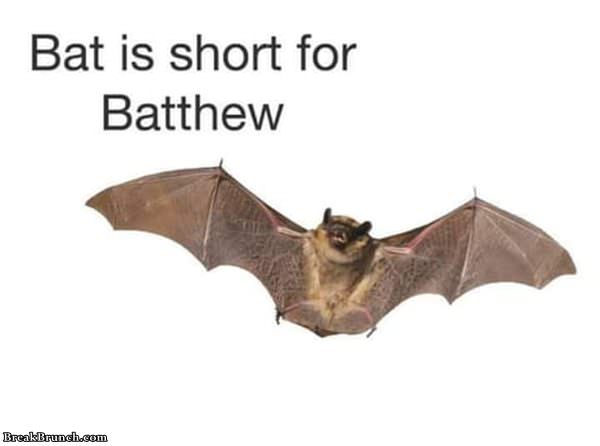 bat-is-short-for-batthew-112419