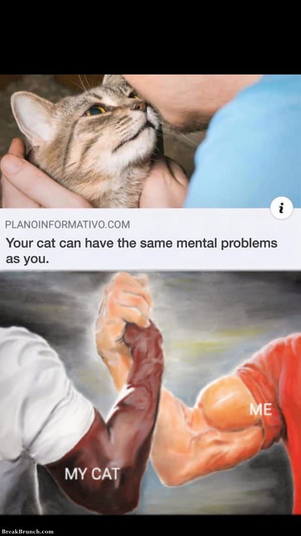cat-have-same-mental-problem-as-you-122719