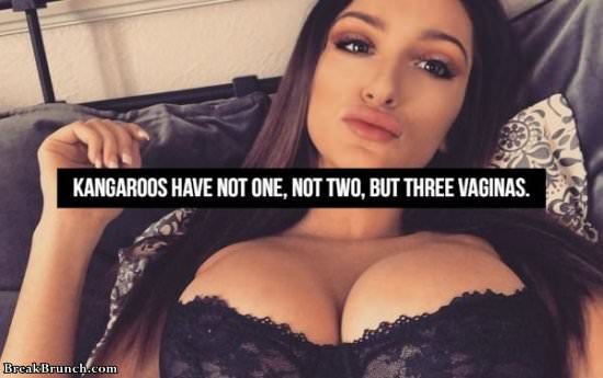 20 NSFW facts