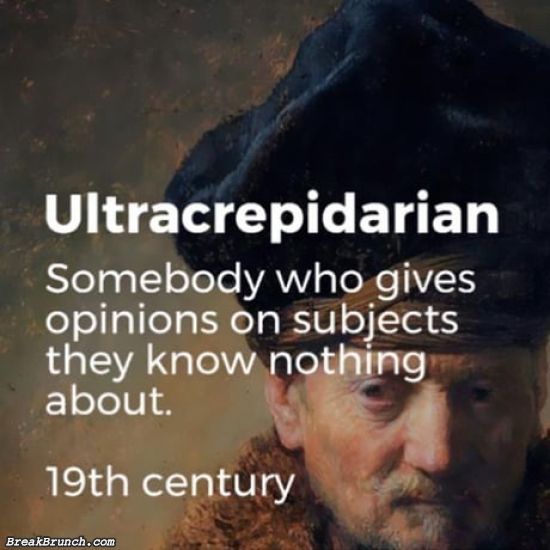 Ultracrepidarian’s meaning