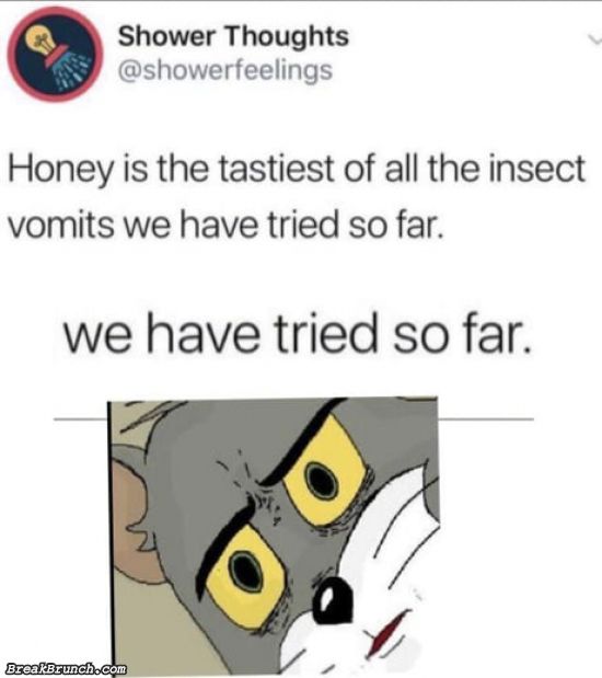 Honey is the tastiest of all insect vomits