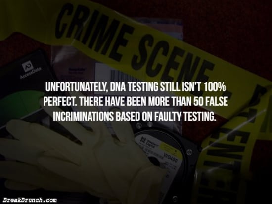 14 fascinating facts about forensics