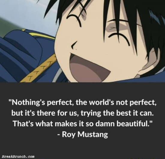 Nothing’s perfect, the world’s not perfect – Roy Mustang