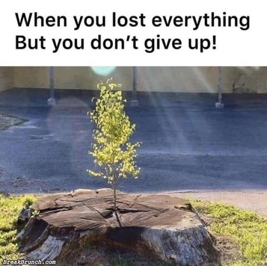 Don’t give up even after you lost everything