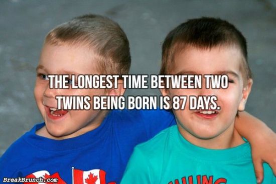 17 weird facts that will boggle your mind