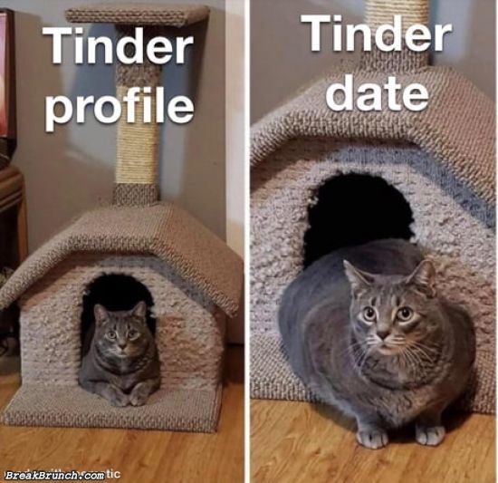Tinder profile vs Tinder date