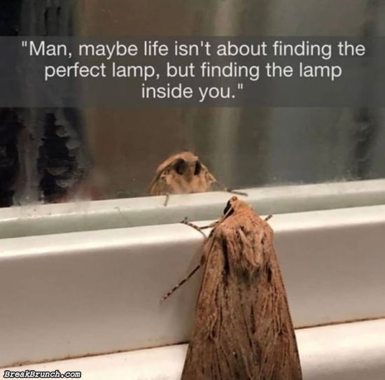 Life is not about finding the perfect lamp