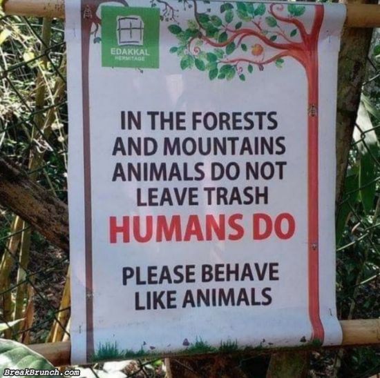 Please behave like animals