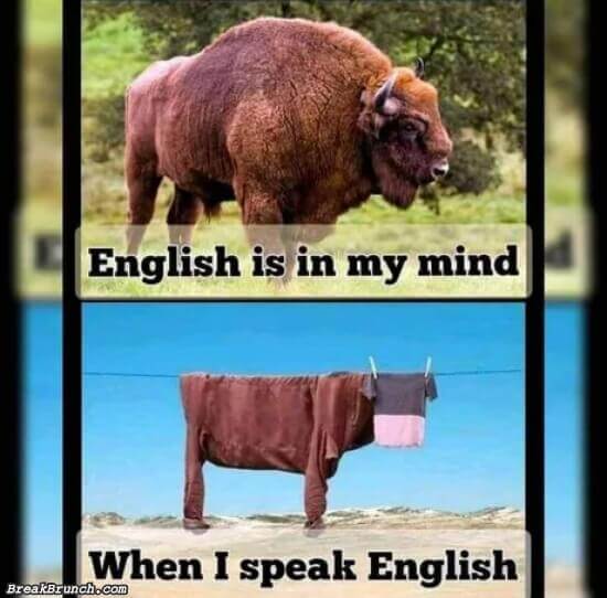 Whenever I try to speak English