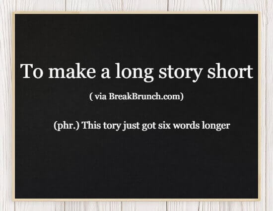 Hilarious Honest Dictionary – To make a long story short