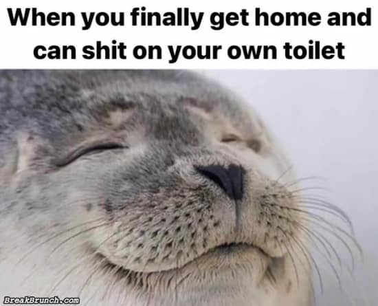 I want to shit on my own toilet