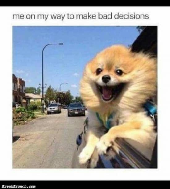 Me on my way to make bad decisions