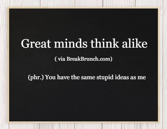 Hilarious Honest Dictionary – Great minds think alike