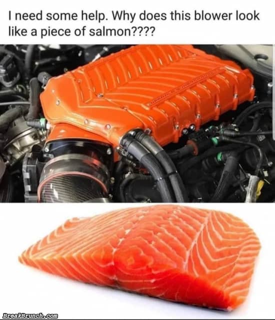 This blower look like salmon