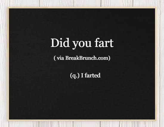 Hilarious Honest Dictionary – Did You Fart
