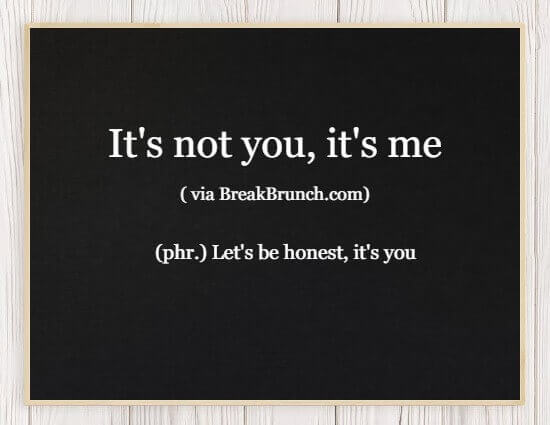 Hilarious Honest Dictionary – It’s Not You, It’s Me