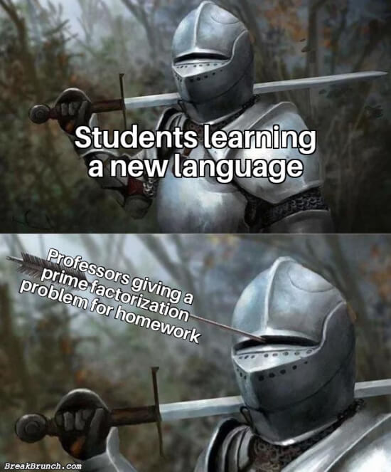 Student learning a new language