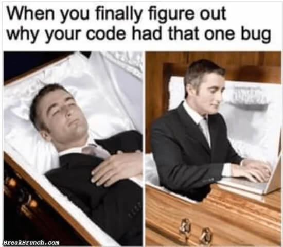 When you finally figured out your bug