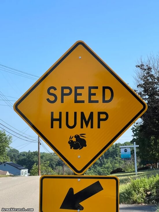 Speed hump