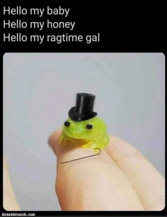 A cute gentleman frog