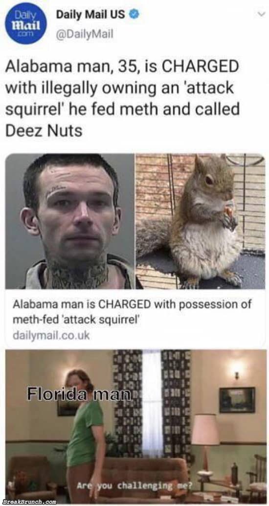 Alabama man has a attack squirrel
