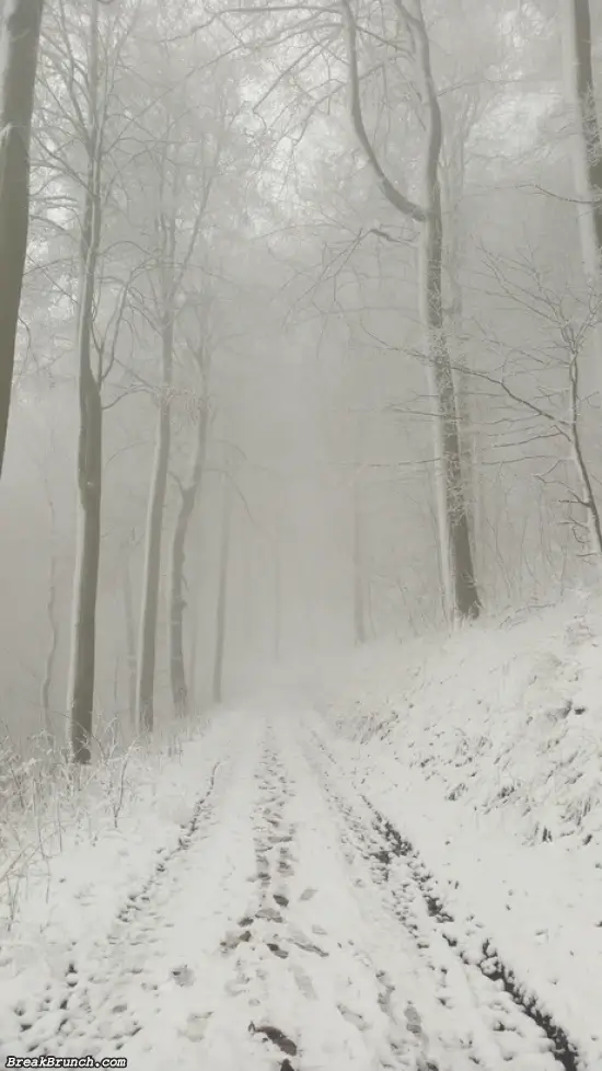 Beautiful winter road