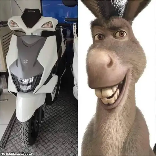 The donkey motorcycle