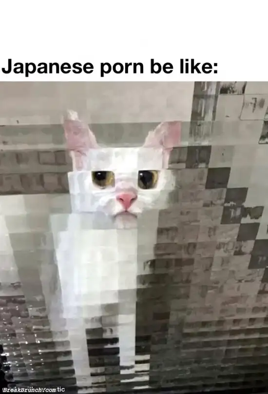 Japanese porn be like