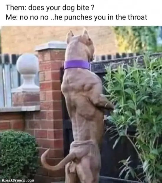 He punches