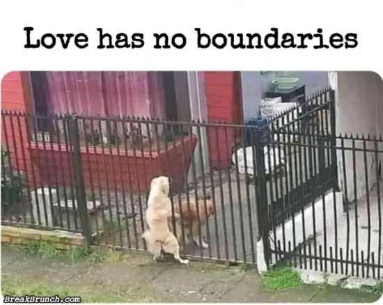 Love has no boundaries