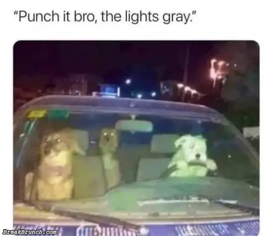 Punch it bro