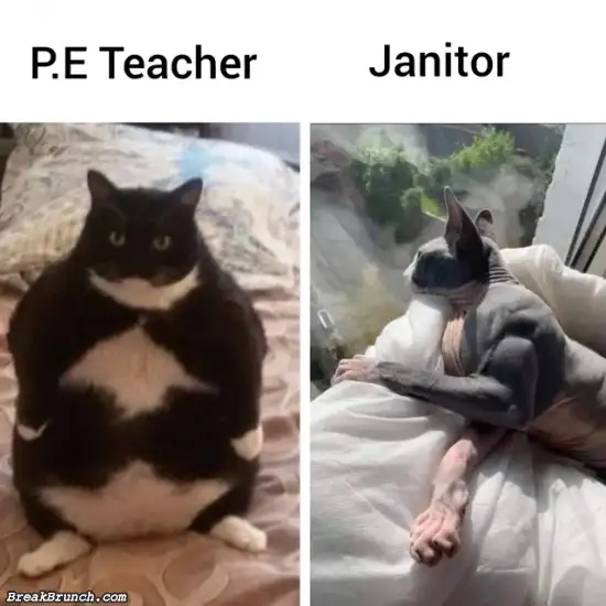 PE teacher vs janitor