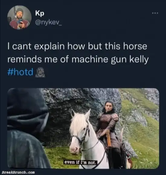 This horse looks like machine gun kelly