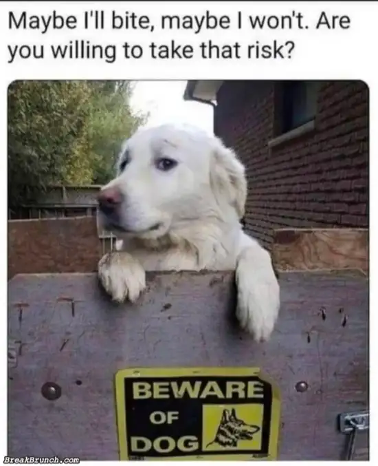 Are you willing to take the risk