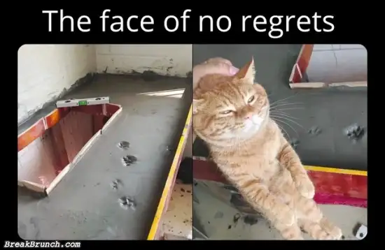 The face of no regret