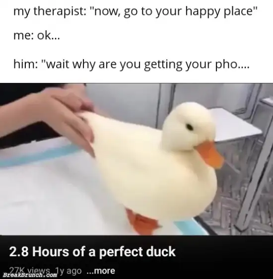 This duck is my happiness