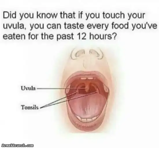 How to taste food you eaten for the last 12 hours