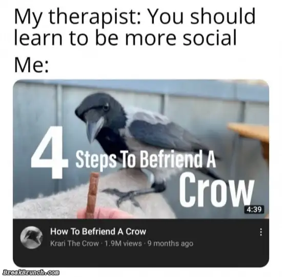 4 steps to befriend a crow