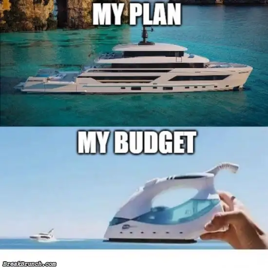 My plan vs my budget