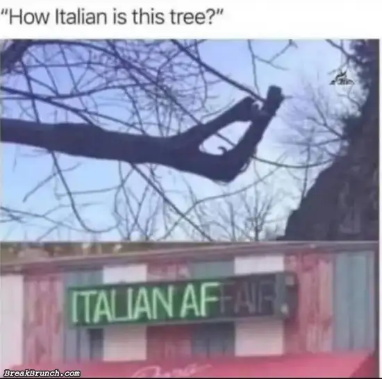 Very Italian tree