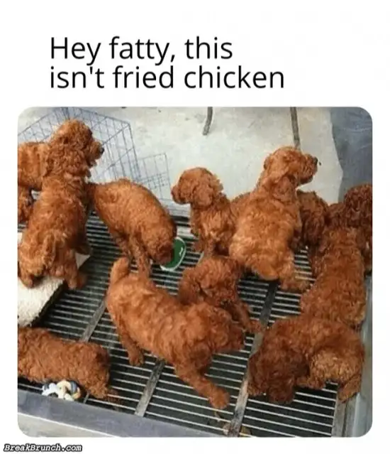 These are not fried chicken