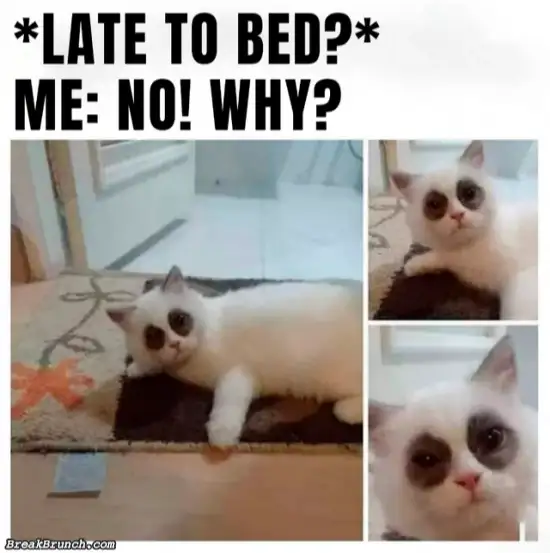 Late to bed