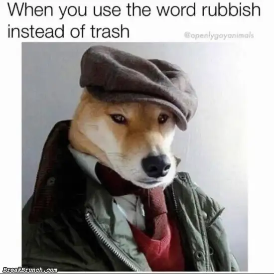 When you say rubbish instead of trash