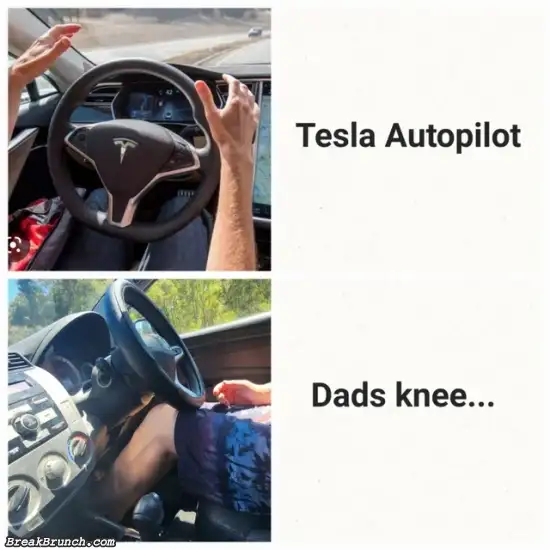Tesla vs dad