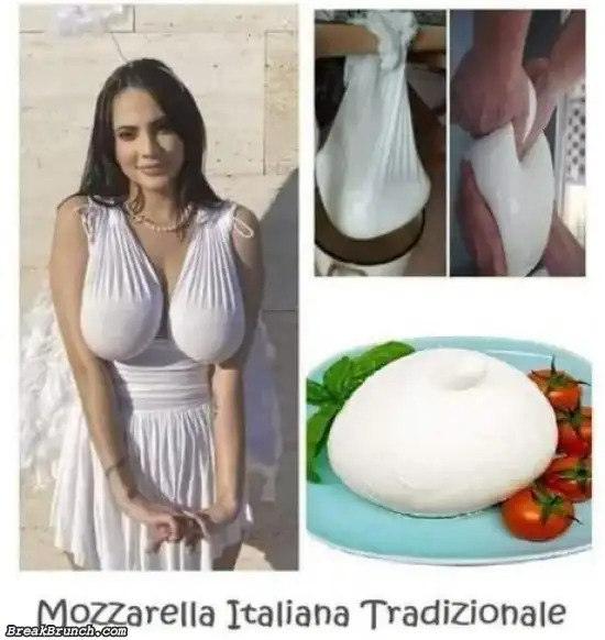 Traditional Italian mozzarella