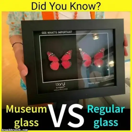 Museum glass vs regular glass